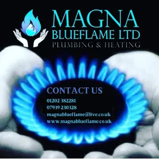 Magna Blueflame Ltd logo