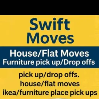 Swift Moves. logo